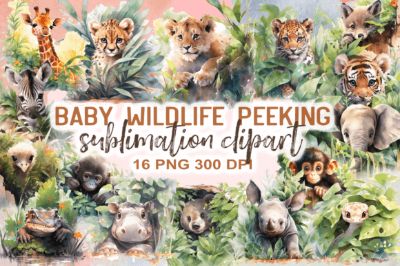 Download Baby Wildlife Animal Peeking Clipart - Premium Bundle